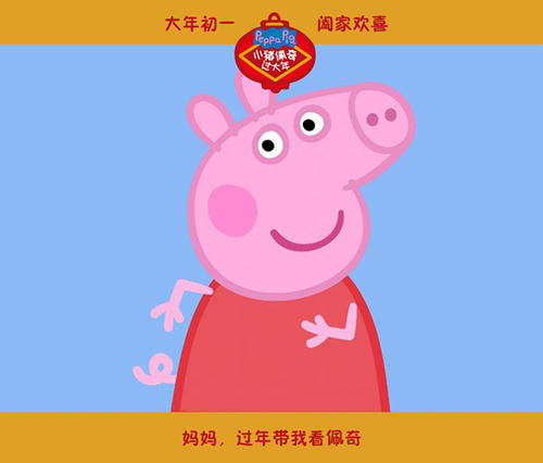 格罗宁根汉泽大学社会学文凭证书